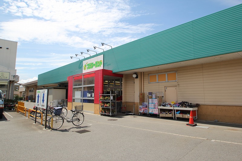 Supermarket. Flower 270m to land (Super)