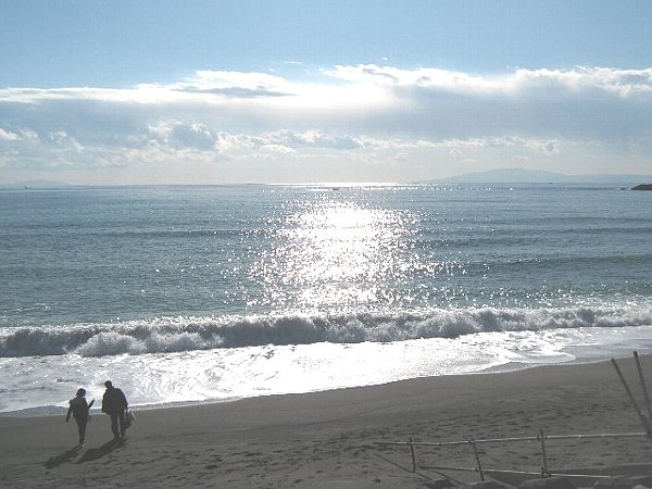 Other. 600m until the Shonan Hiratsuka coast (Other)