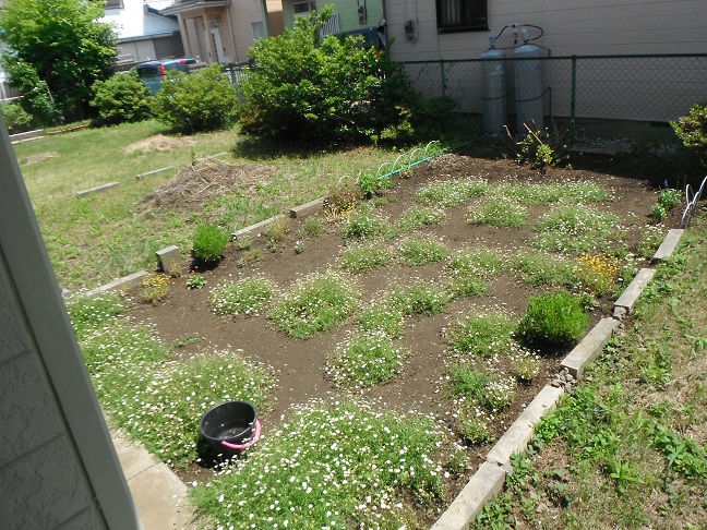 Garden. Dedicated garden freely arrange possible