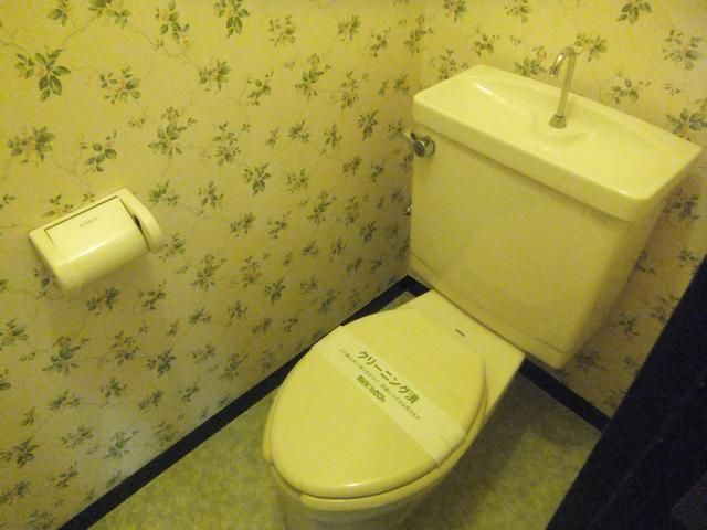 Toilet
