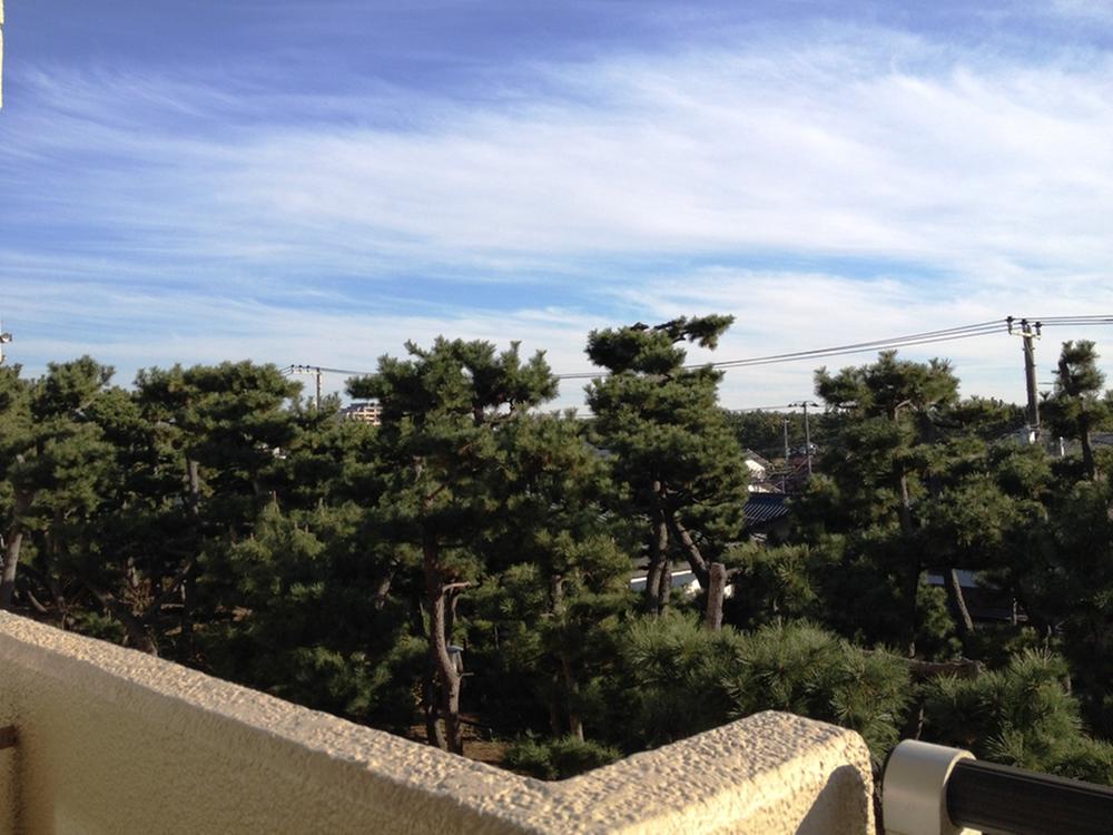 Balcony. View from the balcony (southeast side) (11 May 2013) Shooting