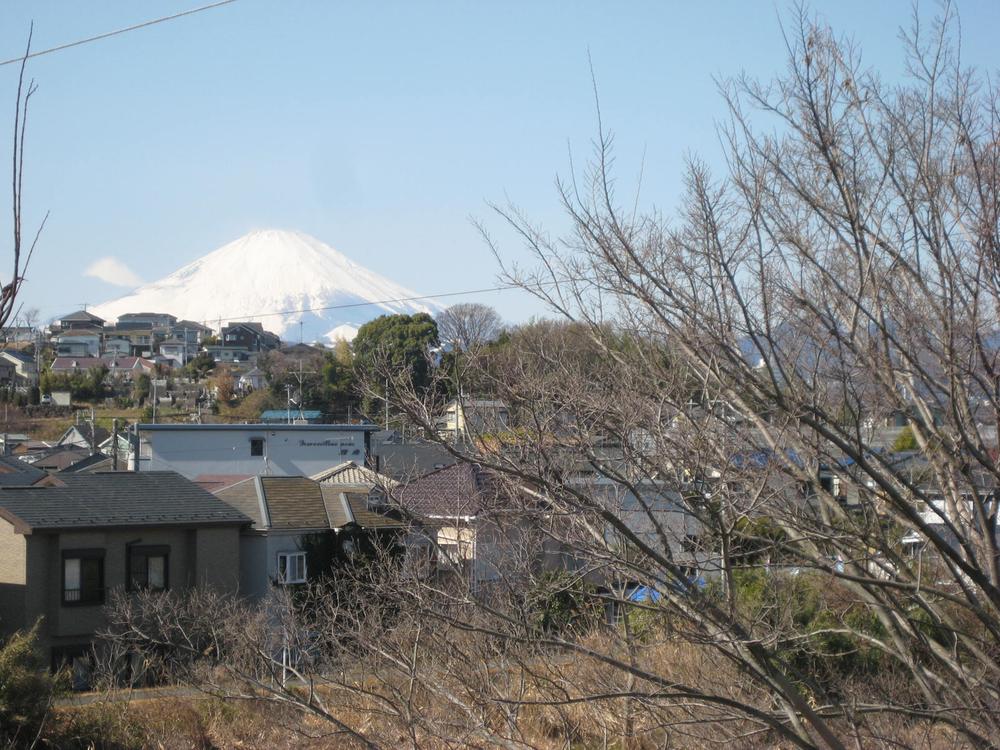 View photos from the local. Mount Fuji views