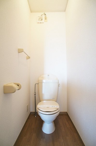 Toilet. Toilet