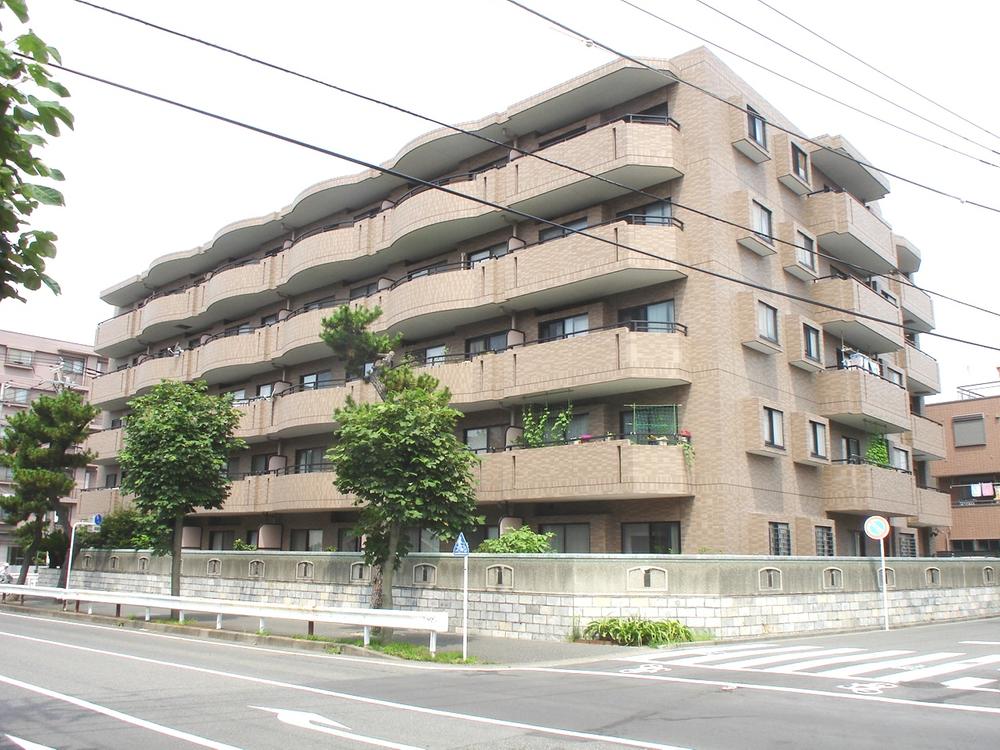 Local appearance photo. Local (July 2013) Shooting