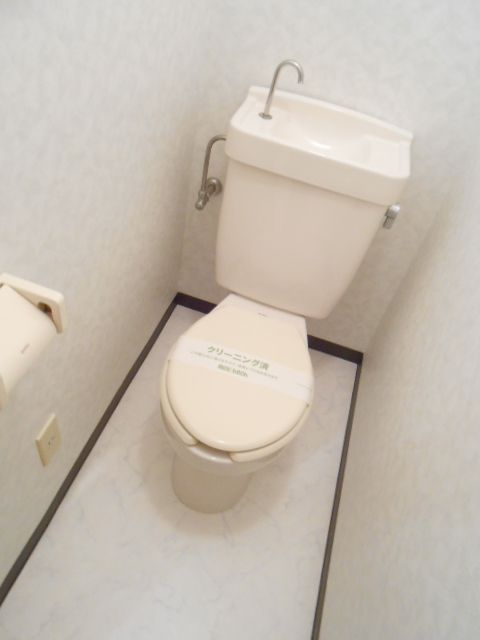 Toilet. Toilet