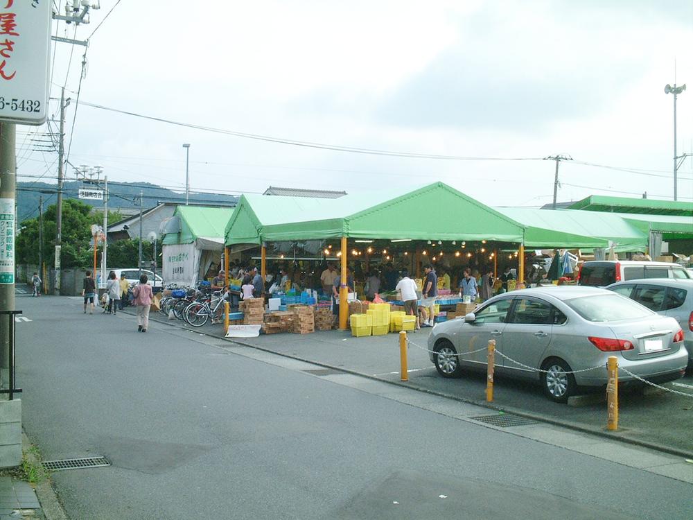 Supermarket. Blue sky fruit and vegetable market