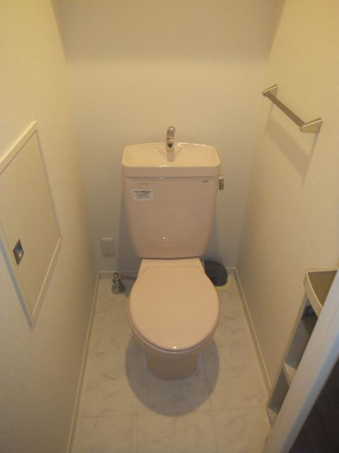 Toilet. Shelf with