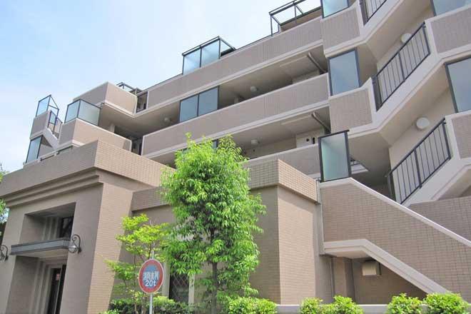 Local appearance photo. Local (September 2013) Shooting