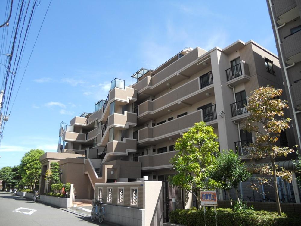 Local appearance photo. Local (September 2013) Shooting