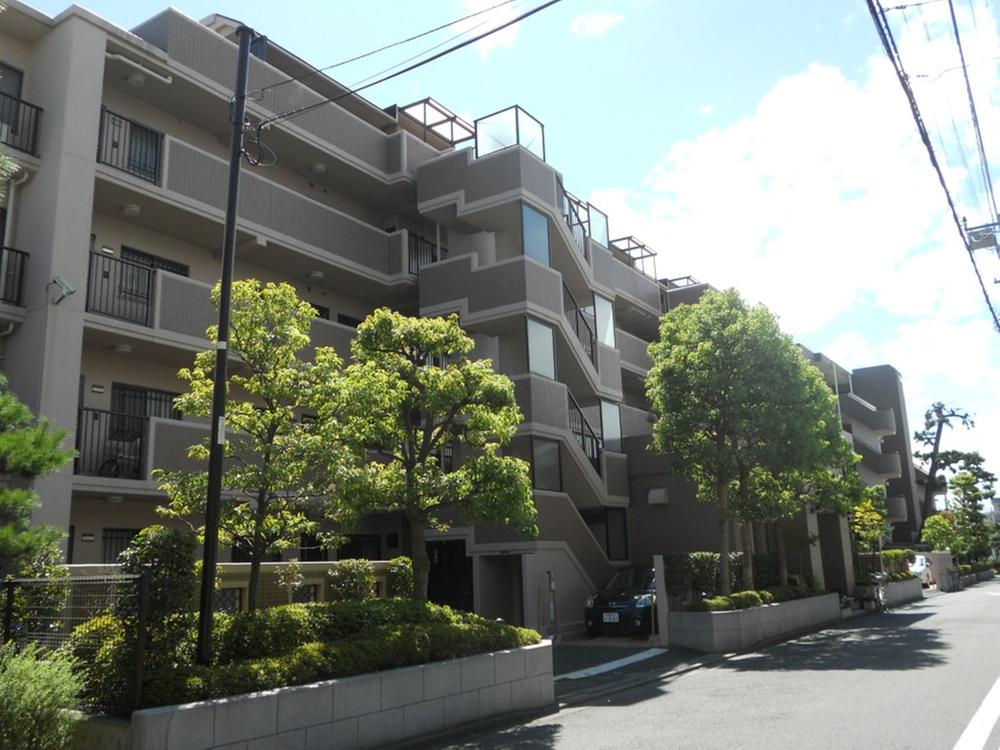 Local appearance photo. Local (September 2013) Shooting