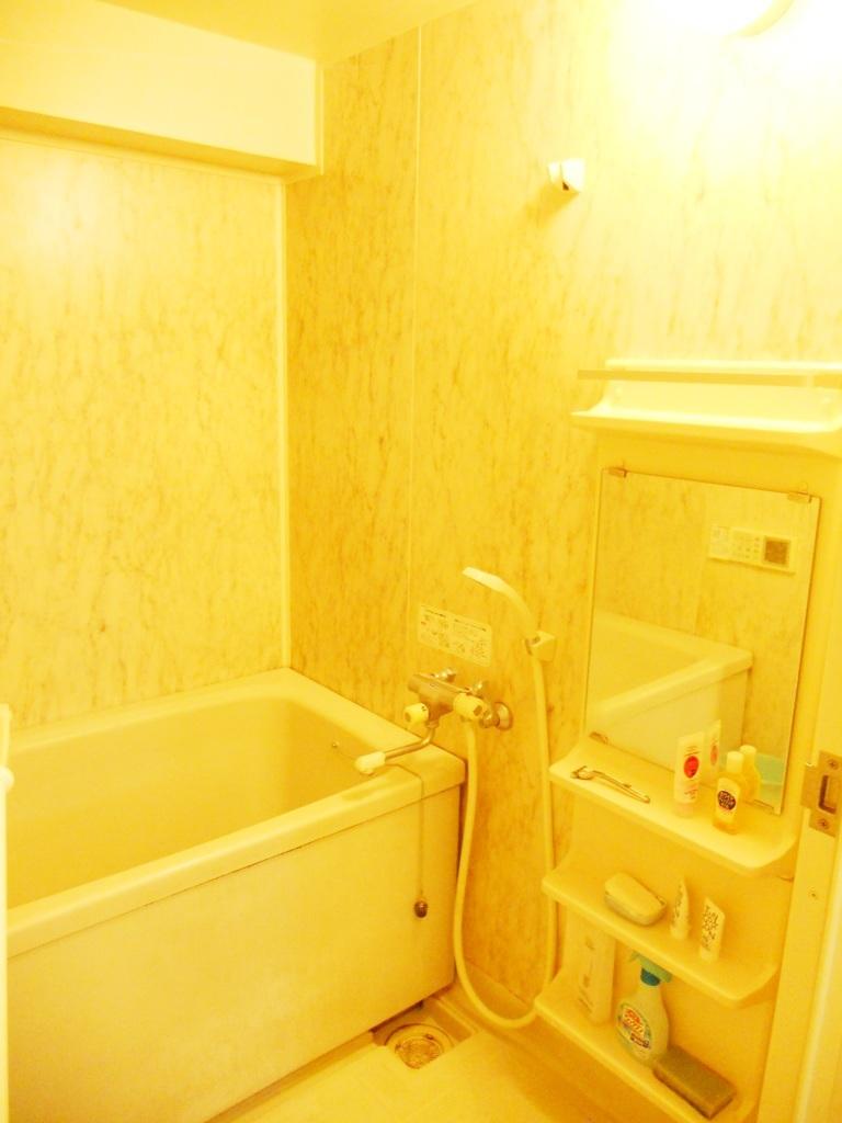 Bathroom. Local (September 2013) Shooting