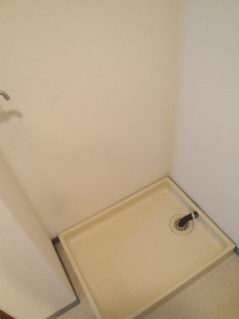 Other room space. Washing machine in the room