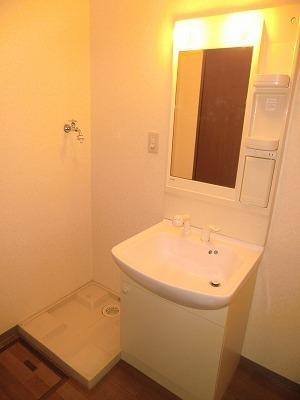 Washroom. With shampoo dresser