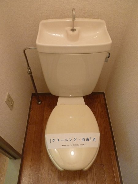 Toilet. Toilet