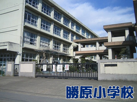 Primary school. 546m until Hiratsuka Municipal Katsuhara elementary school (elementary school)