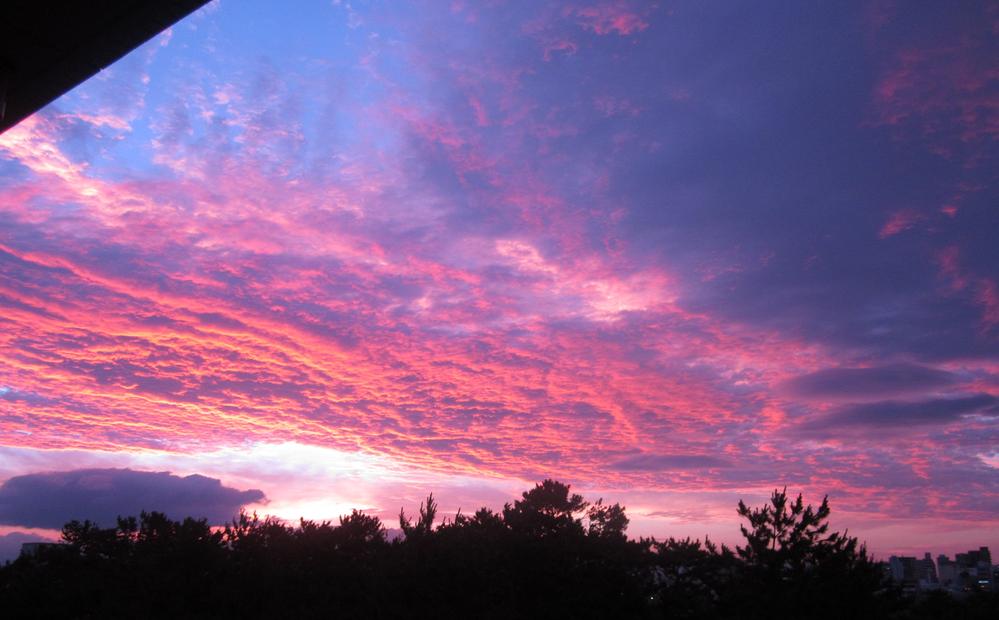 View photos from the dwelling unit