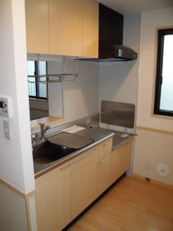 Kitchen. Convenient face-to-face kitchen to clean up the back or carry a cuisine.