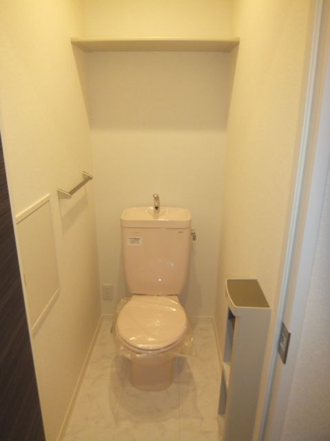 Toilet. With shelf