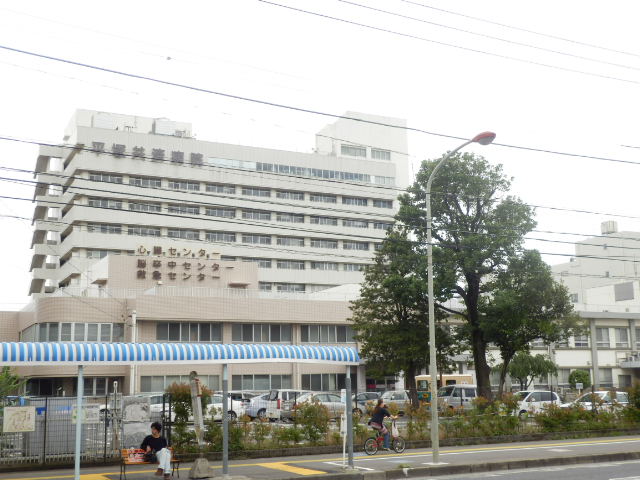 Hospital. Hiratsukakyosaibyoin 800m until the (hospital)