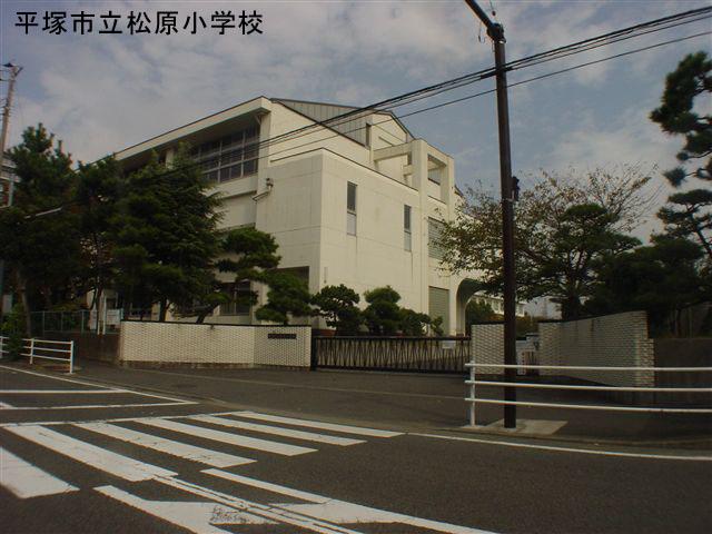 Primary school. Matsubara elementary school