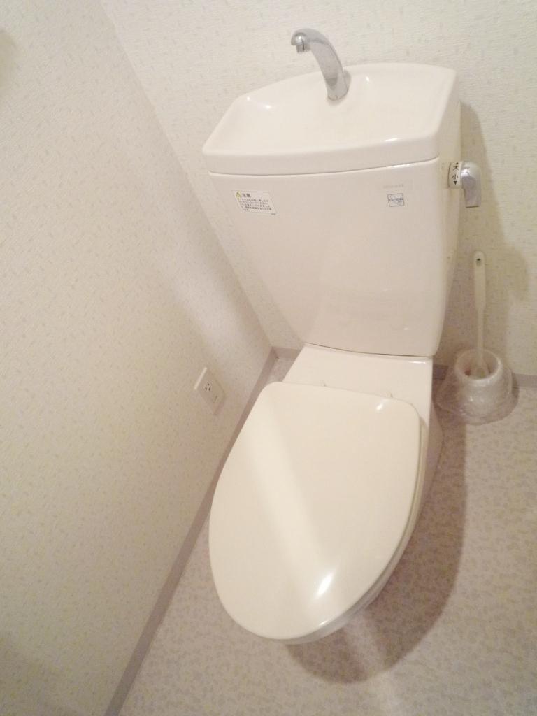 Toilet. Local (July 2013) Shooting