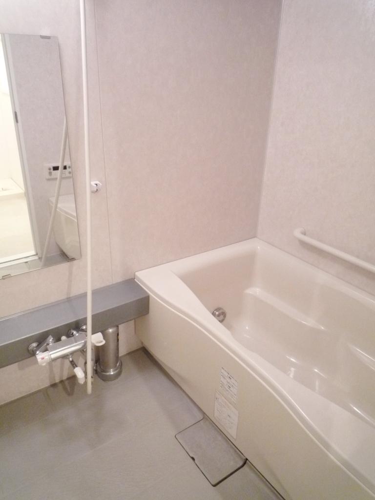 Bathroom. Local (July 2013) Shooting