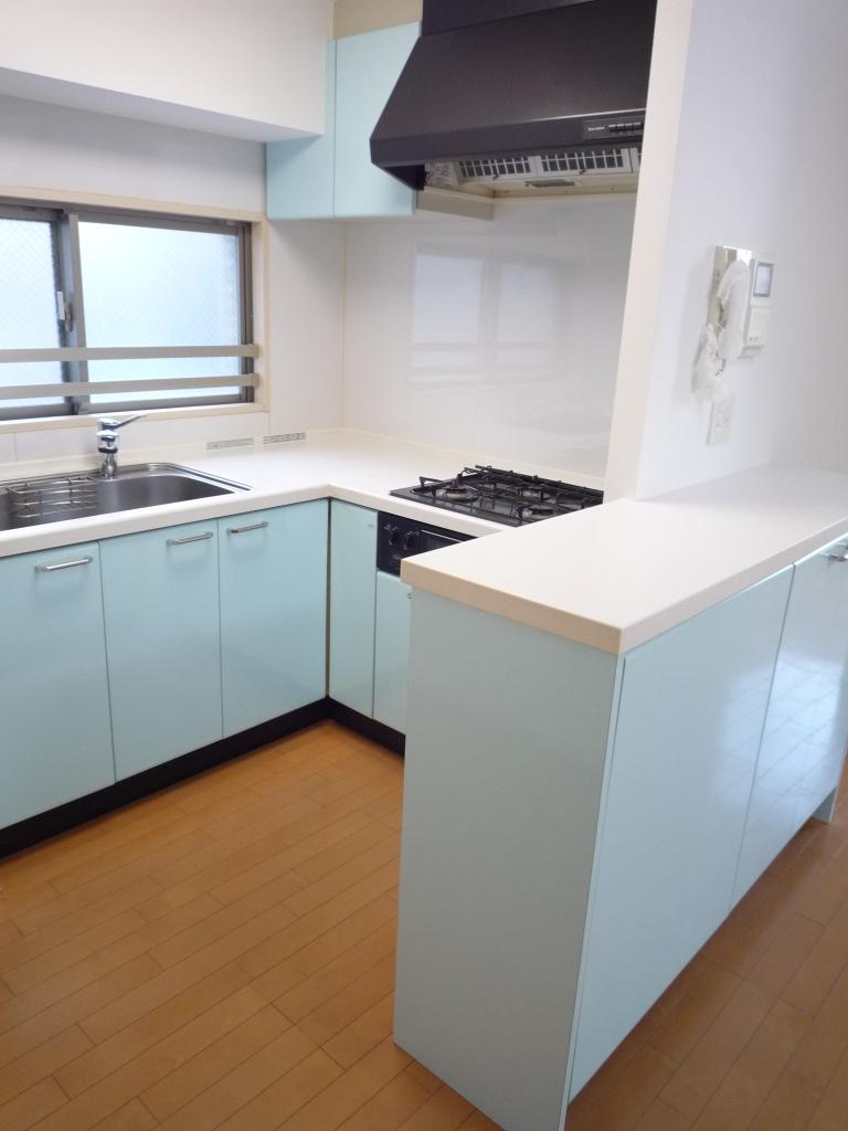 Kitchen. Local (July 2013) Shooting