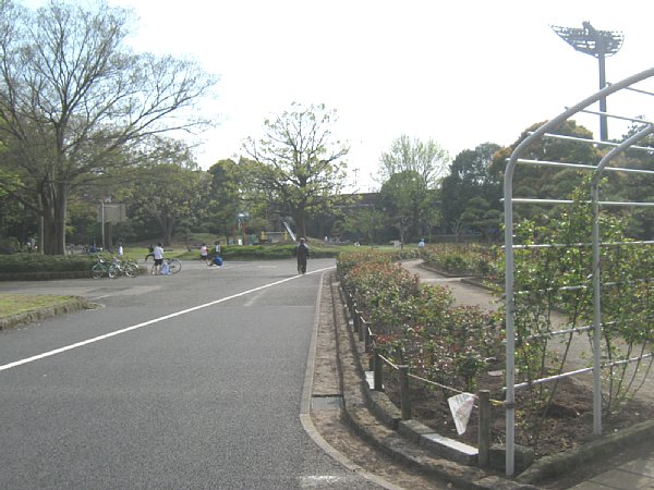 park. 1000m to Hiratsuka Comprehensive Park (park)