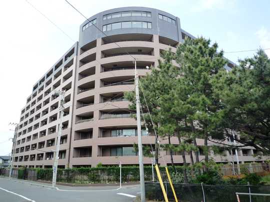 Local appearance photo. Local appearance taken from photo southwest side (May 2011)