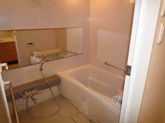 Bathroom. Bathroom (June 2011) shooting