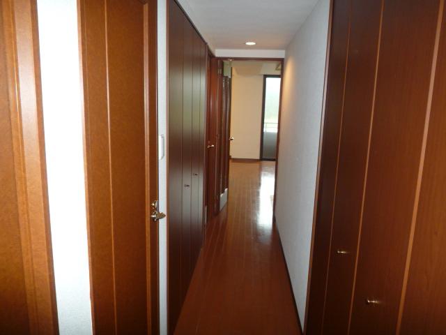 Non-living room. Corridor, Shooting from the entrance side (June 2011)