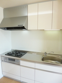 Kitchen. Kitchen
