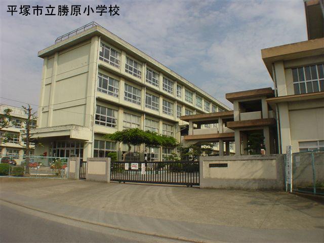 Primary school. 303m until Hiratsuka Municipal Katsuhara Elementary School