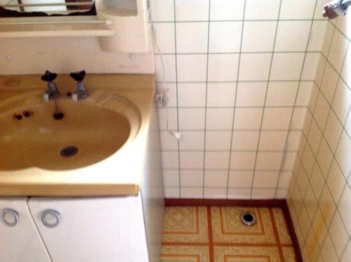 Wash basin, toilet. (12 May 2012)
