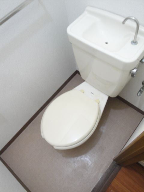 Toilet. Toilet