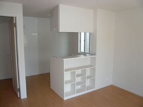 Living and room. LDK