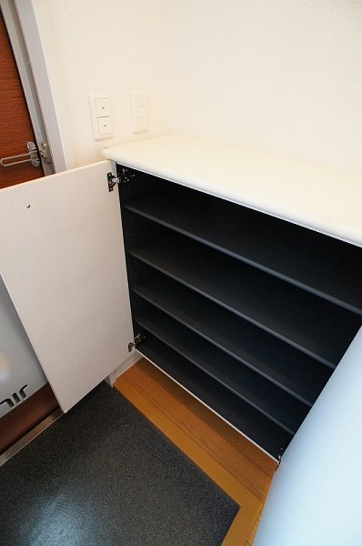 Other. Shoebox