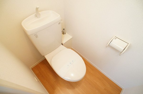 Toilet. Toilet