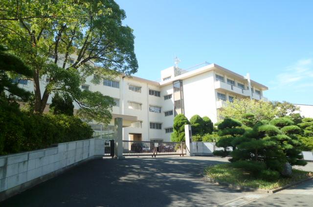 Primary school. Flowers and trees up to about elementary school 260m