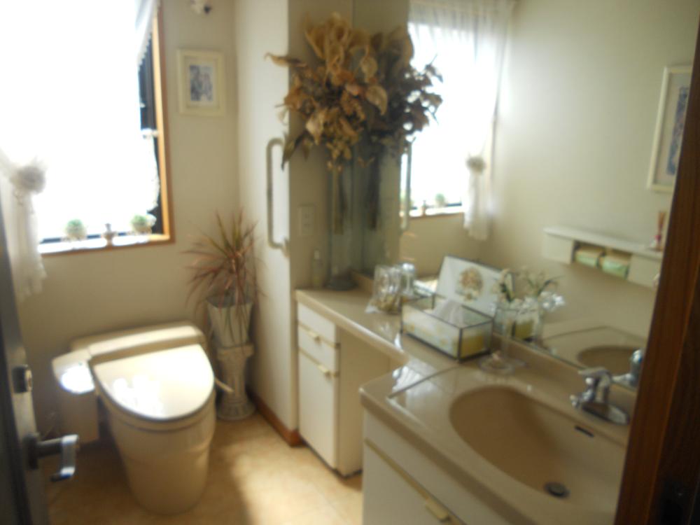Toilet. Room (August 2013) Shooting