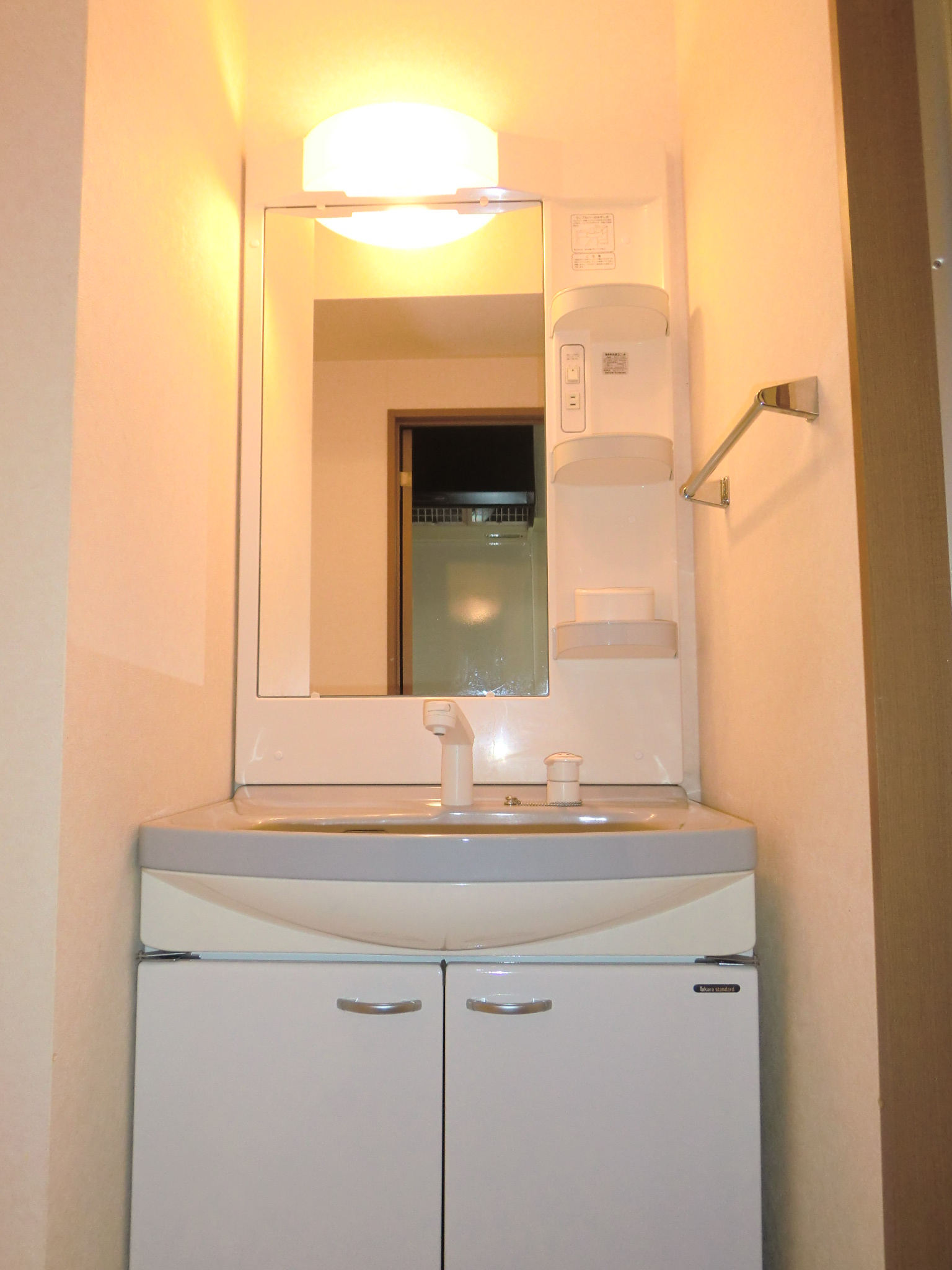 Washroom. Washbasin with shower Dresser