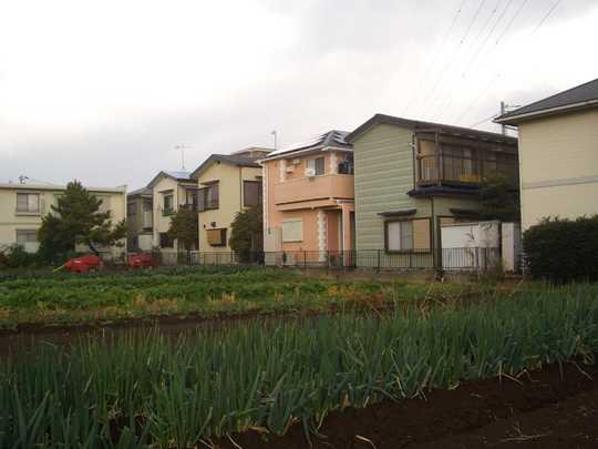 Local appearance photo. Building appearance