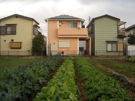 Local appearance photo. Building appearance