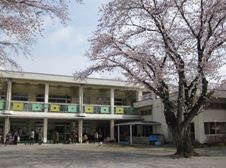 kindergarten ・ Nursery. Hiratsuka municipal Sakura kindergarten (kindergarten ・ 406m to the nursery)