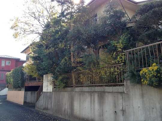 Local land photo