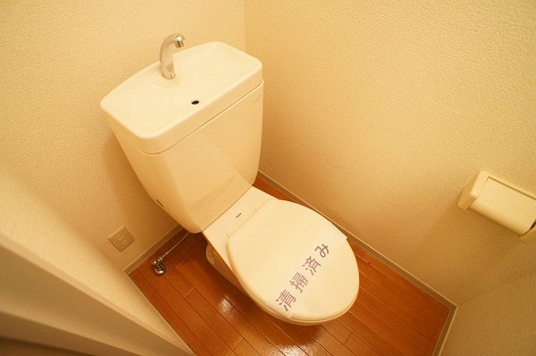 Toilet. Toilet