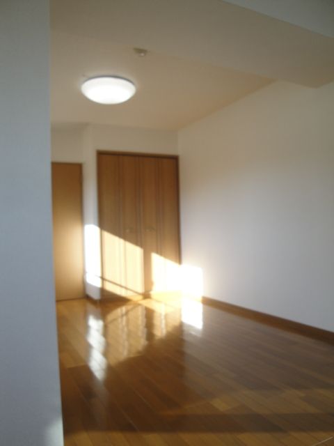 Living and room. Spacious space