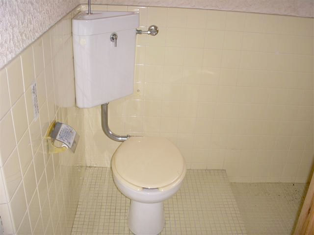 Toilet