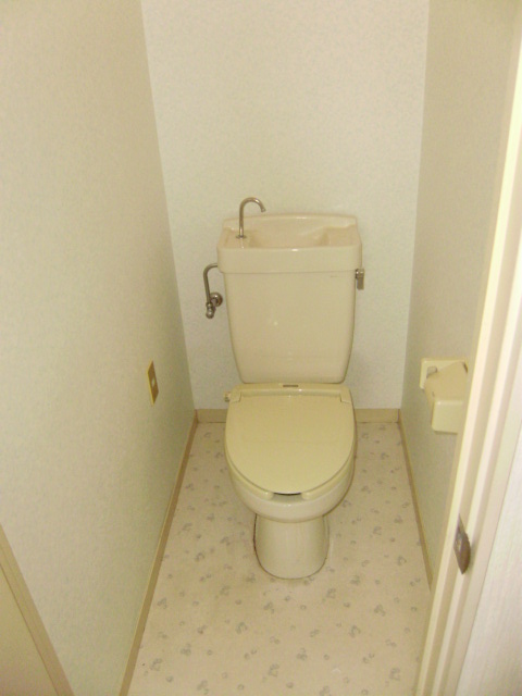 Toilet. The photograph is an image.