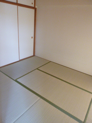 Other room space. Japanese style room